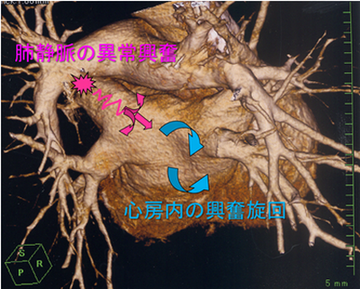 循内画像.1