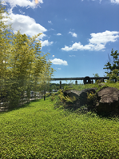 松山直幹③